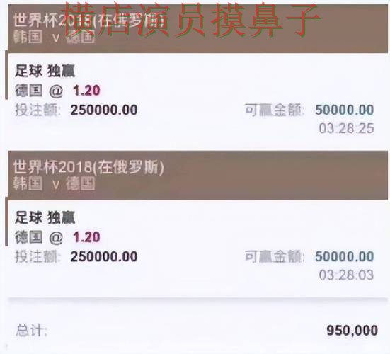 世界杯投注入口哪个好？围绕平台排行做一次全面盘点（World Cup 2026）